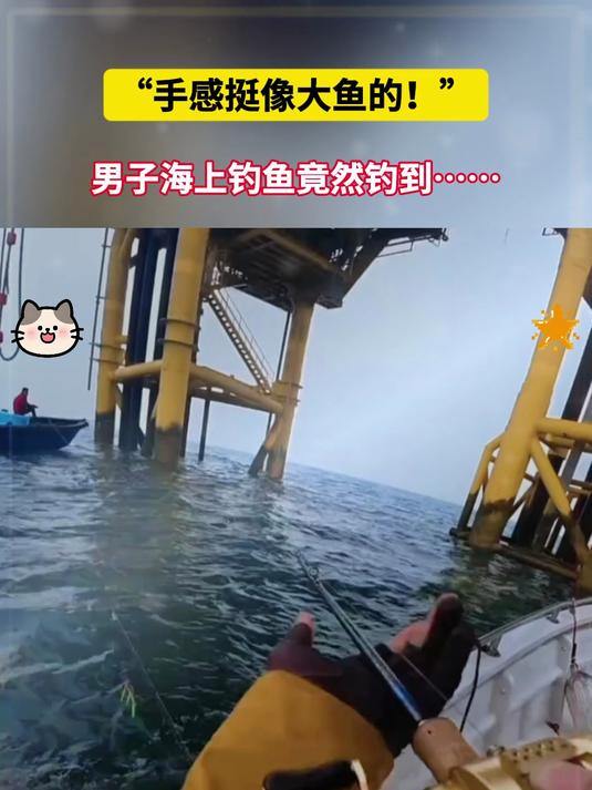 “手感挺像大鱼的!”男子海上钓鱼竟然钓到……