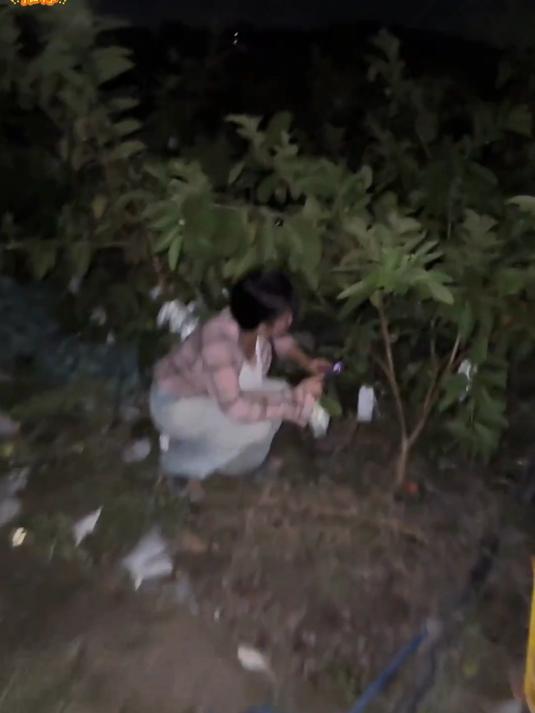 芭乐一定要吃软心的,软糯香甜真的巨好吃,冰激凌口感
