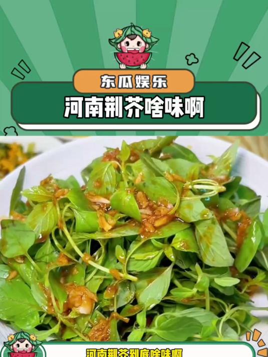 河南荆芥啥味啊