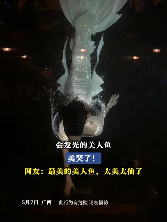 #旅游创作季#会发光的美人鱼,美哭了!网友:最美的美人鱼,太美太仙了
