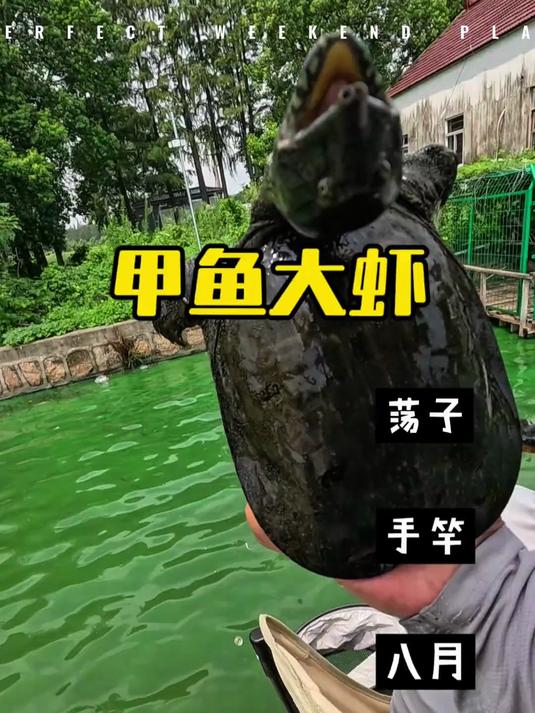饺子有什么好吃的 钓虾