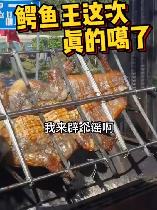 鳄鱼王这次真的噶了