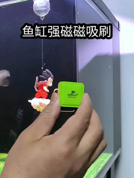 八毫米鱼缸玻璃必备!小鱼缸强磁磁吸刷好用到爆