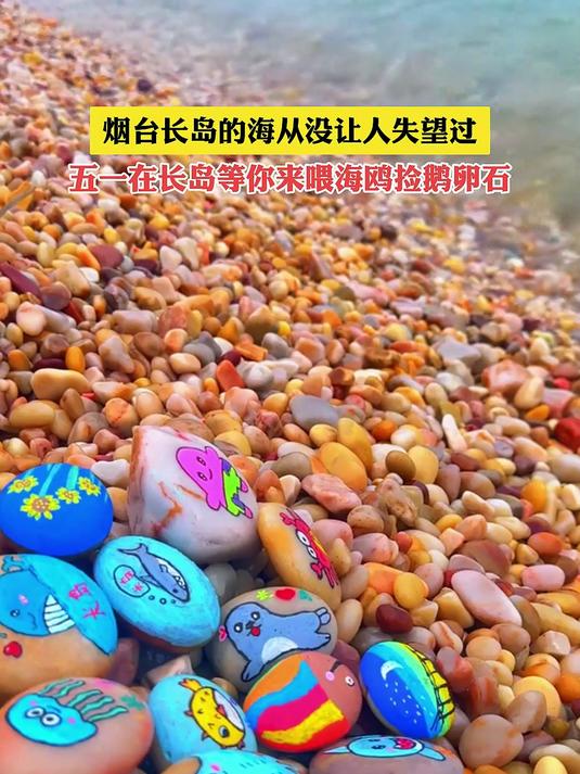 烟台长岛的海从没让人失望过,五一在长岛等你来喂海鸥捡鹅卵石