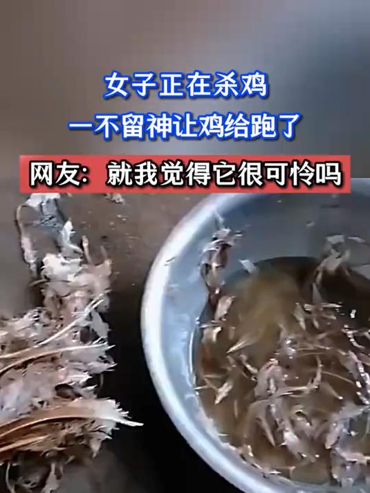女子正在杀鸡,一不留神让鸡给跑了,网友:就我觉得它很可怜吗