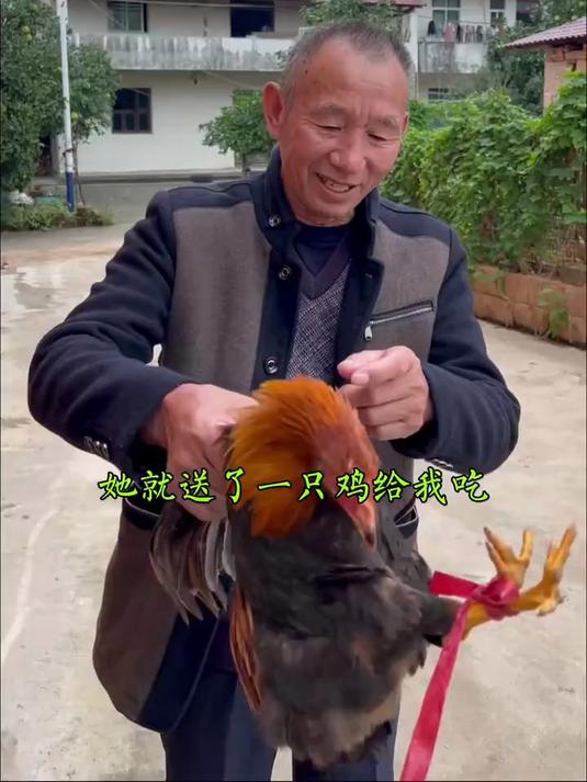 板栗炖鸡！有没有来吃的？