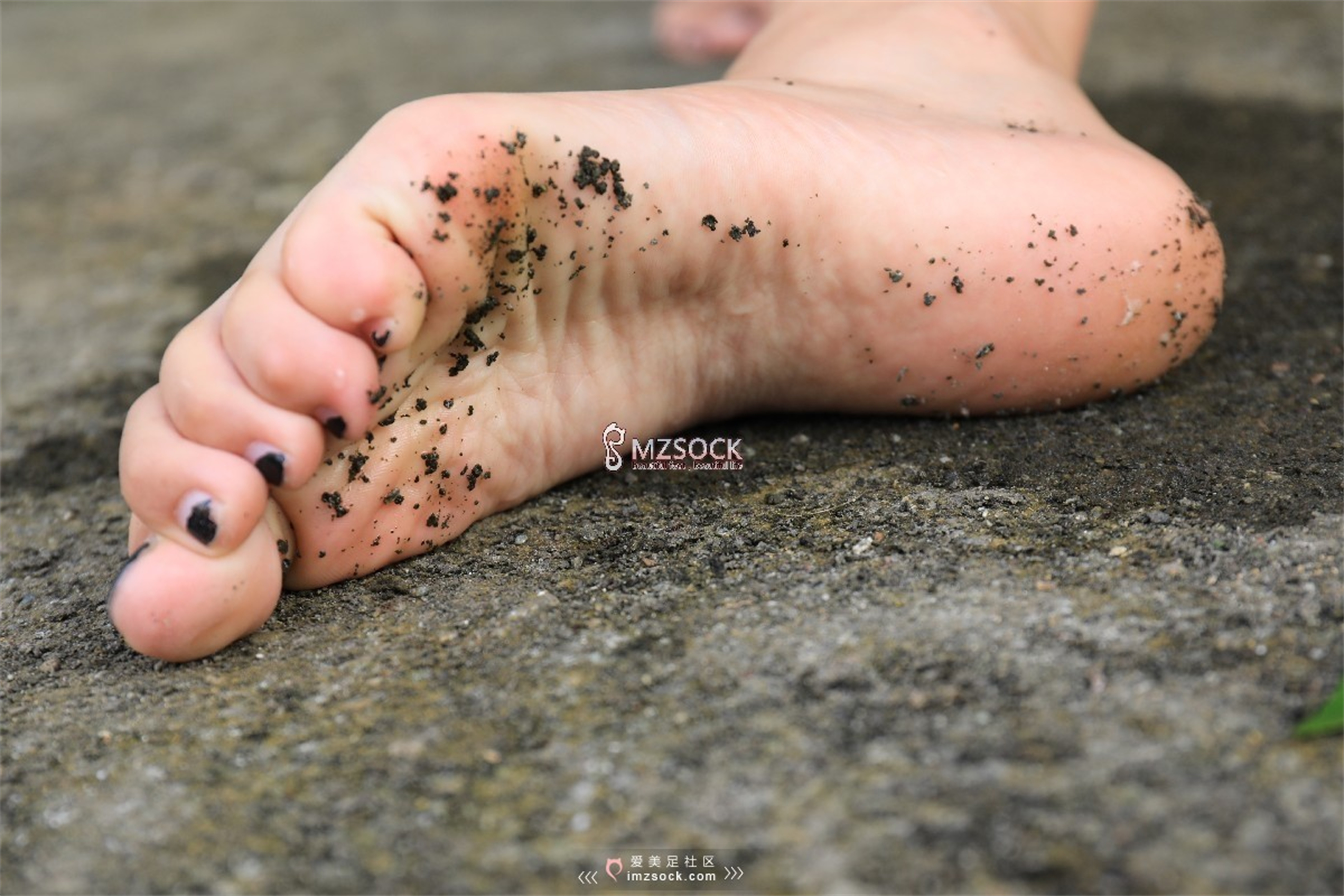图片[121]-[MZSOCK]爱美足 NO.049 悦悦[122P403M]-六色网