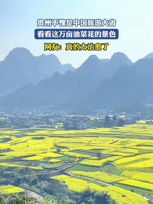 贵州不愧是中国旅游大省，看看这万亩油菜花的景色#马上就出发#