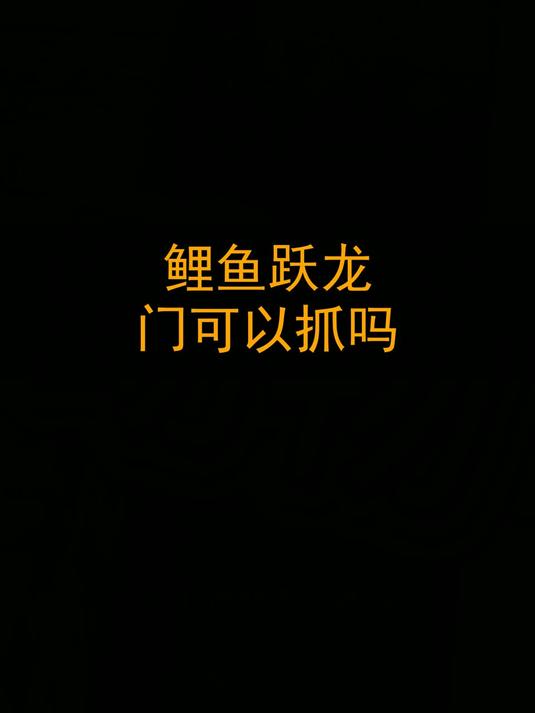 鲤鱼跃龙门可以抓吗？