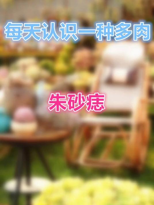 羽安讲多肉：朱砂痣