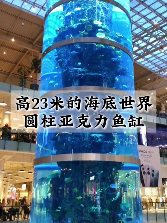 比三层楼还高的鱼缸,23米高巨型鱼缸