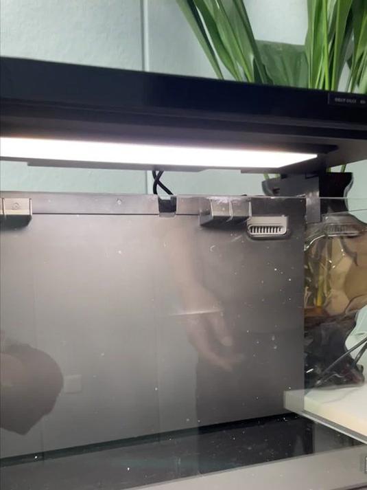 米家鱼缸 3D 立体造景,一体成型免打理,水族必备!