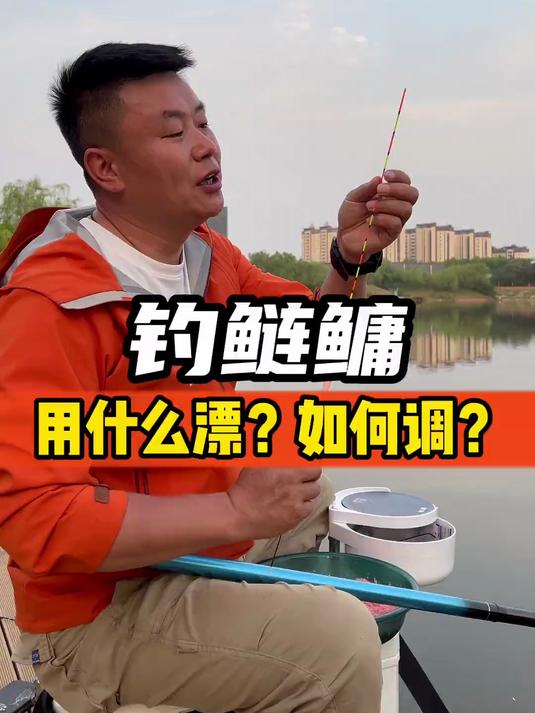 钓鲢鳙用什么漂?如何调漂?