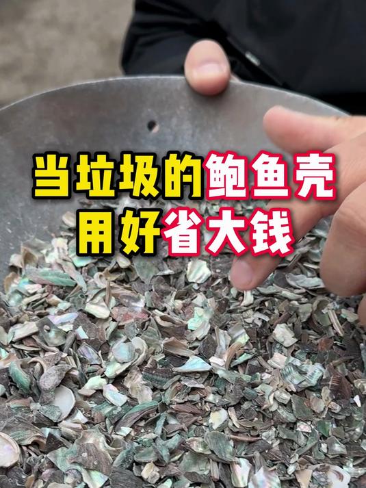 当垃圾的鲍鱼壳,用好省大钱
