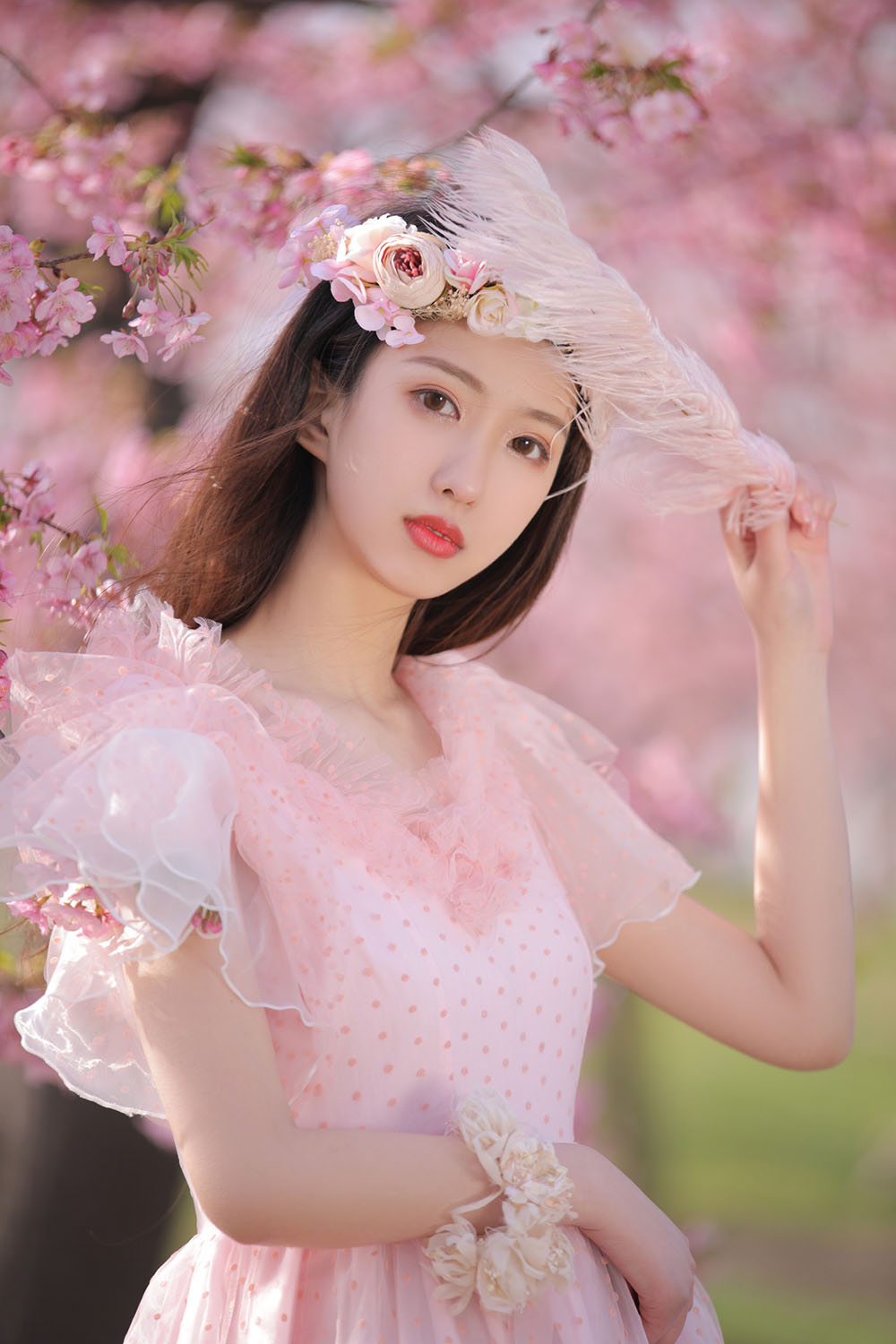 图片[26]-樱花-六色网