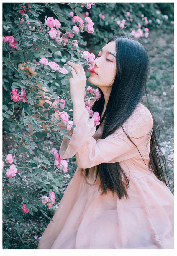 图片[11]-少女和蔷薇-六色网