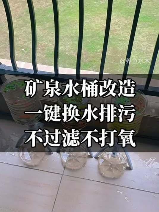 矿泉水桶巧变生态鱼缸 加底座实现老水 超简单 DIY
