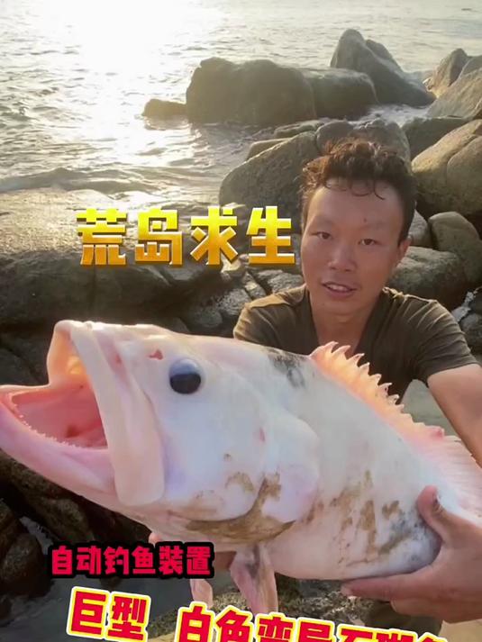钓鱼装置触发,钓上来一条十多斤的白色变异石斑鱼