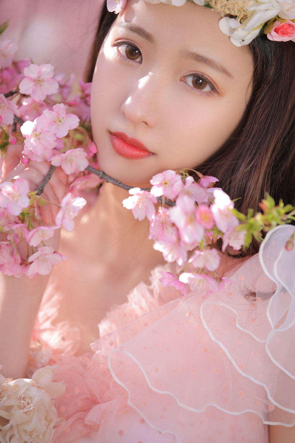 图片[34]-樱花-六色网
