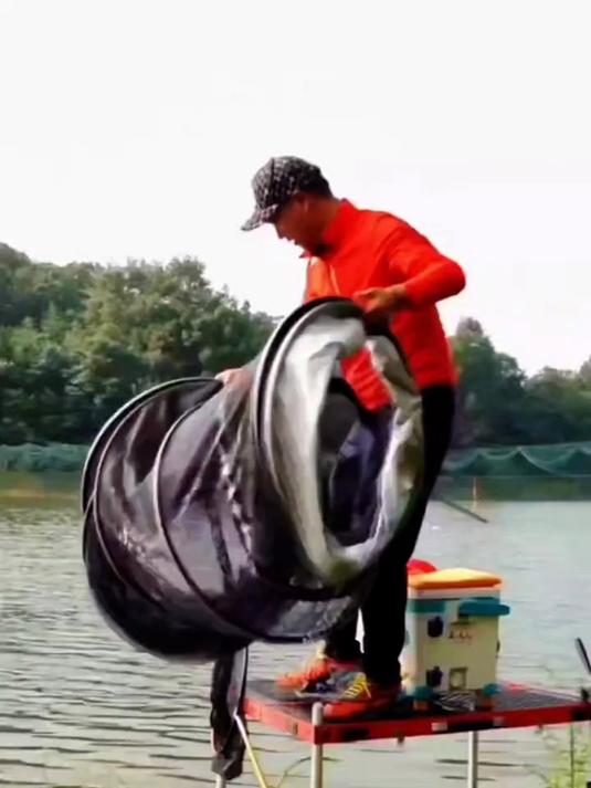 千川鲤大综合竿鲢草鲤通钓钓鱼钓大物 #鱼竿 #户外钓鱼 #高碳鱼竿