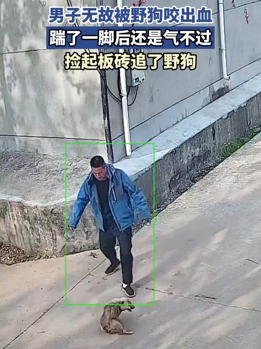 男子无故被野狗咬出血,踹了一脚后还是气不过,捡起板砖追了野狗