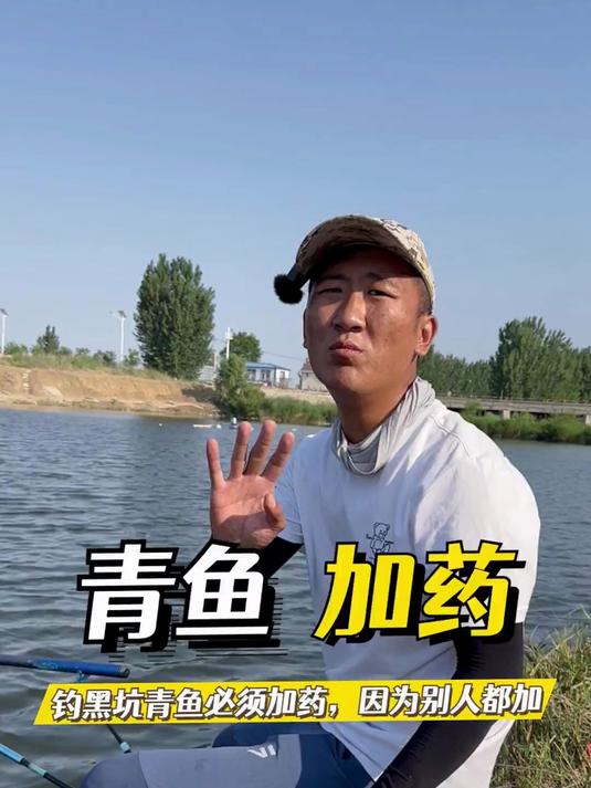 钓黑坑青鱼必须加药，新手不会加怎么办