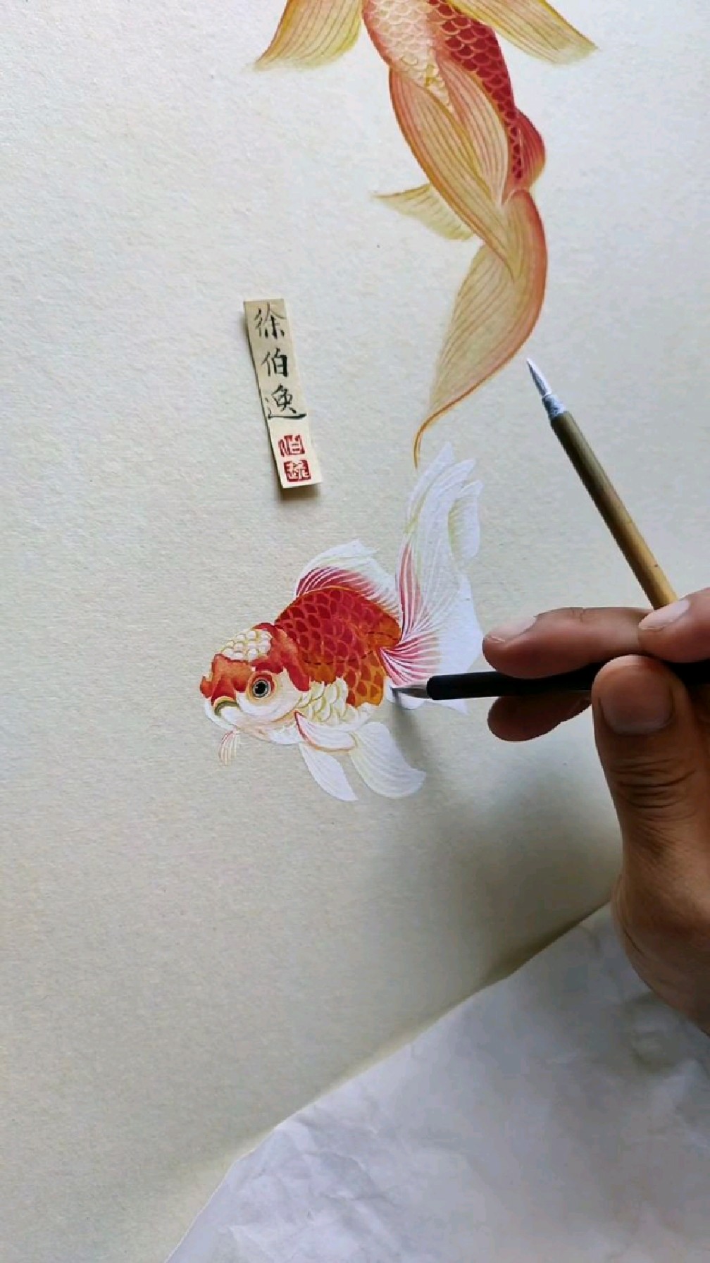 画一条呆萌的小金鱼