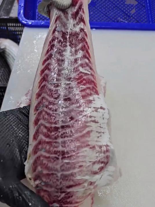 鲷鱼刺身制作:去头去尾除内脏骨,切片摆盘,简单来试试吧