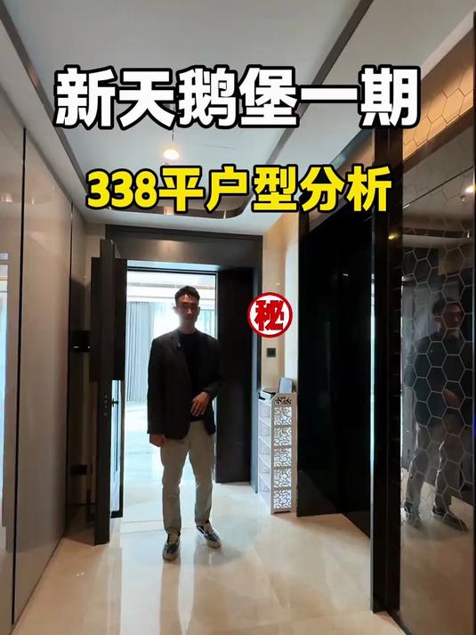 新天鹅湖花园一期338户型分析,很优秀的户型