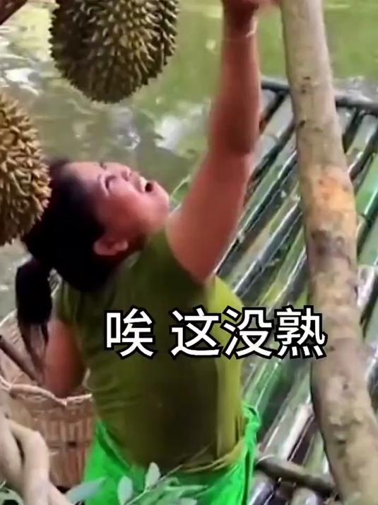 照片分享