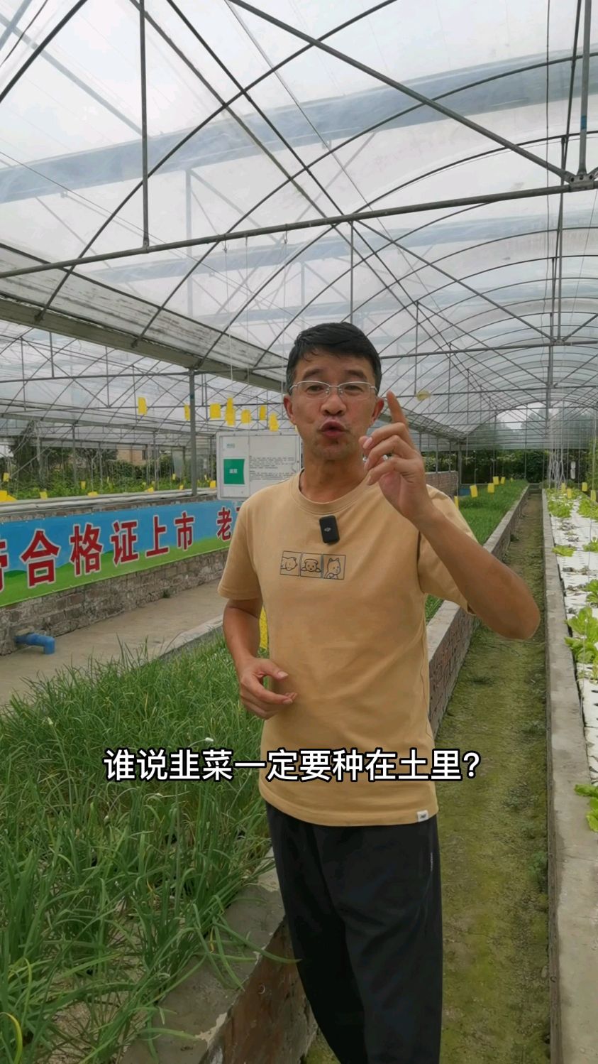 无土栽培才是农业趋势
