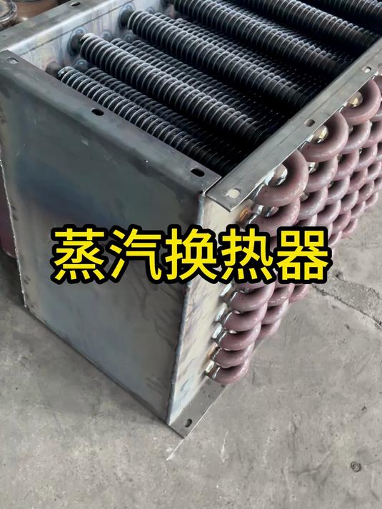 蒸汽换热器