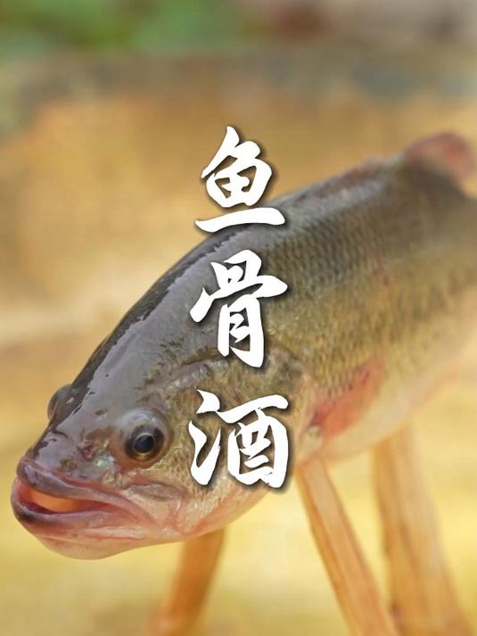 古法鱼骨酒,老一辈的传统老技艺!你知道它的价值吗?