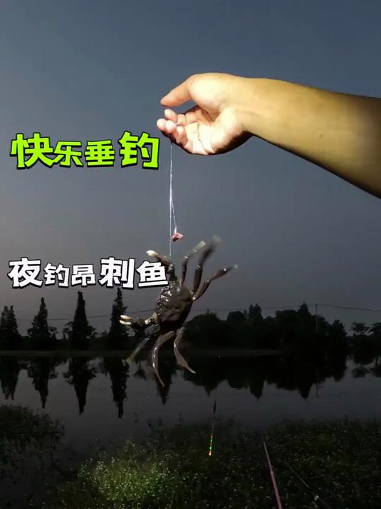 谁说酒米打窝钓不到昂刺鱼的，钓鱼的乐趣只有钓鱼人懂