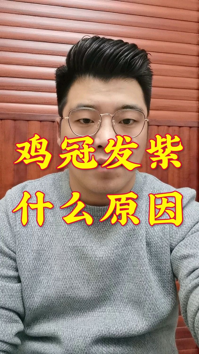 鸡冠发紫是什么原因?