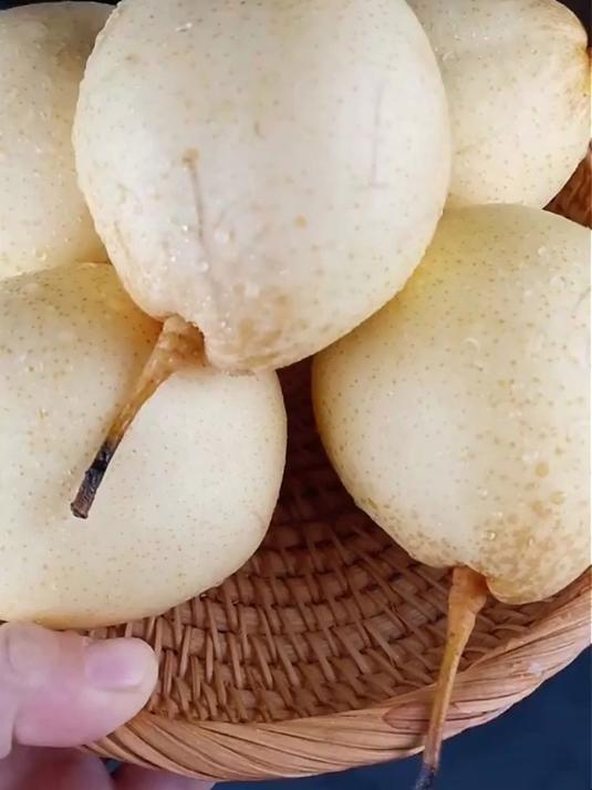 河北肃宁水晶鸭梨产地直发！带箱9斤净重8.2斤，新鲜脆甜赵州特产