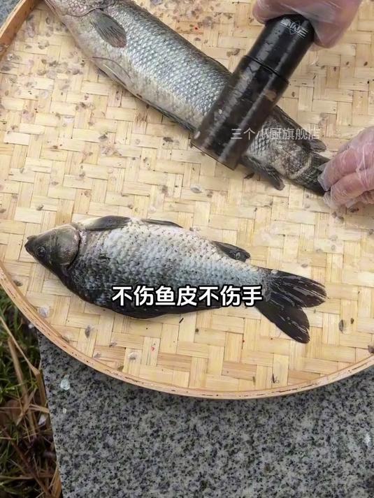 爱吃鱼的一定要入手电动刮鱼鳞神器，10秒刮完一条鱼，好用不贵