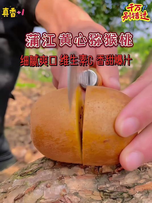 黄心猕猴桃都是果园现摘现发皮薄肉厚果肉金黄汁水超多维C含量高