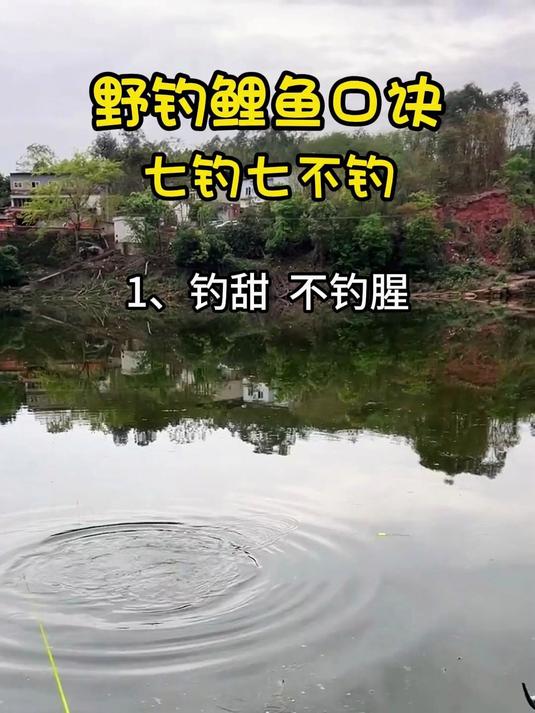 野钓鲤鱼口诀 七钓七不钓