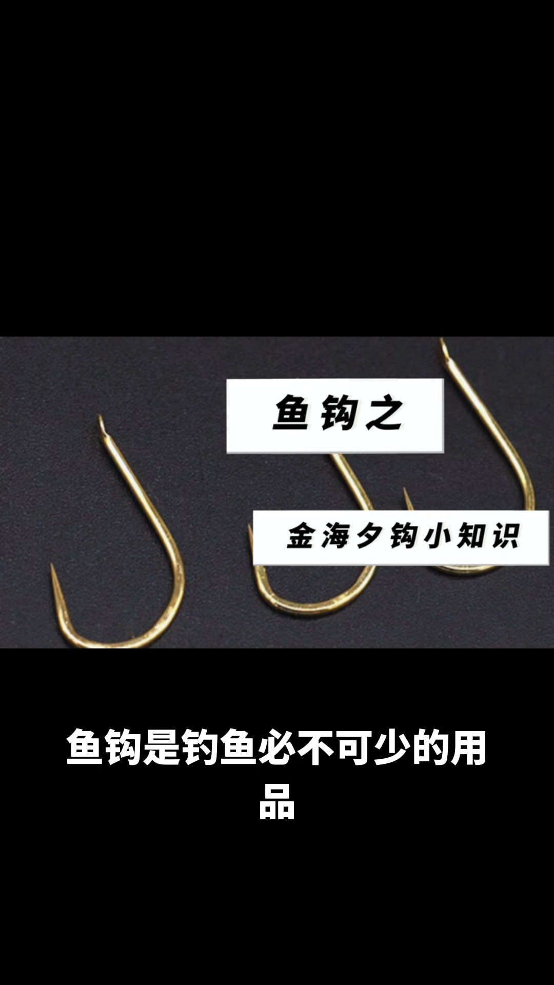 金海夕鱼钩小知识