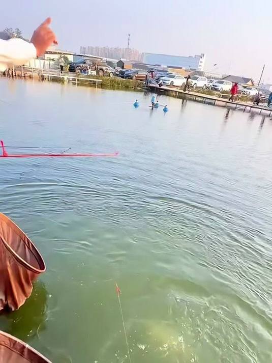 黑坑青鱼珠珠超好用 入水缓沉 味型浓郁超适口