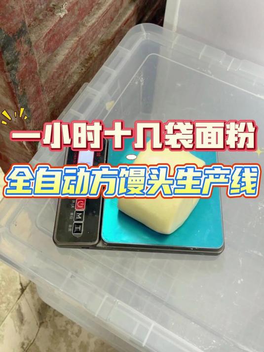 一小时十几袋面粉的全自动方馒头生产线