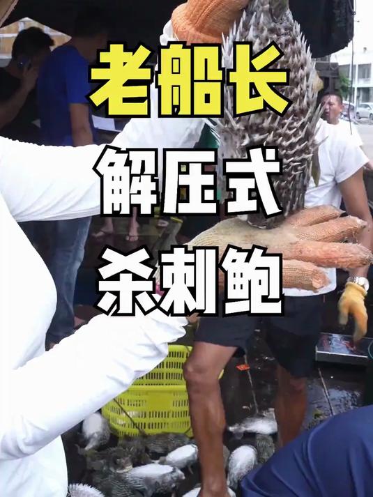 这南海刺鲀最贵的就是鱼皮!看看船长是如何剥鱼皮