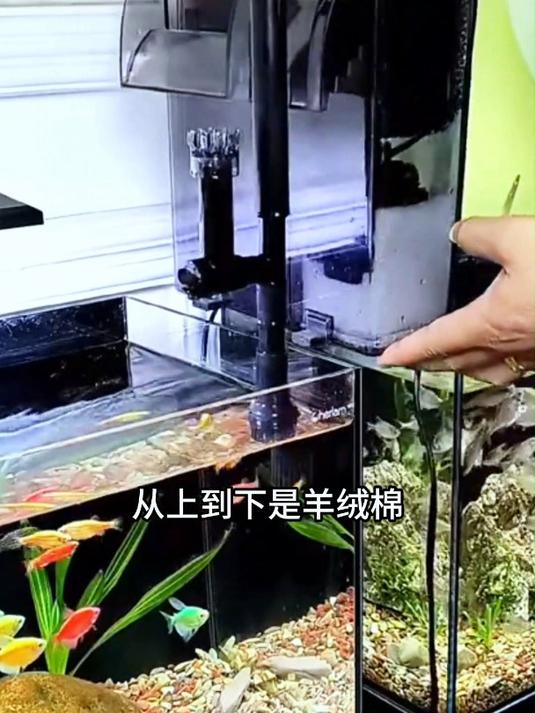 yee壁挂式过滤器,增氧、培菌、过滤,三效合一过滤