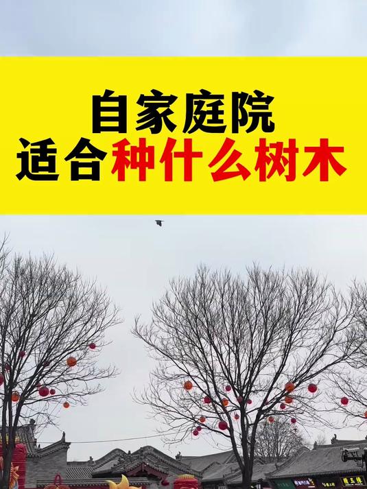 自家庭院适合种什么树木