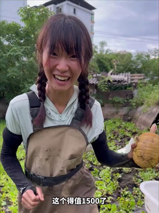 花三千五包下一口混养的甲鱼塘,老板说里面养过金龟?能否找到?