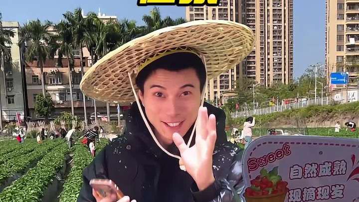 个人如何在家就能搭建卖蔬果草莓背景直播