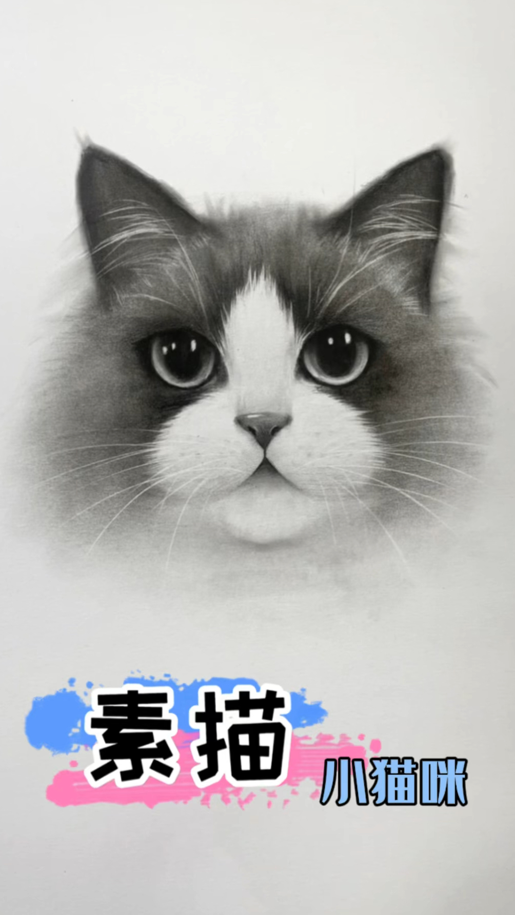 素描超简单的小猫咪画法