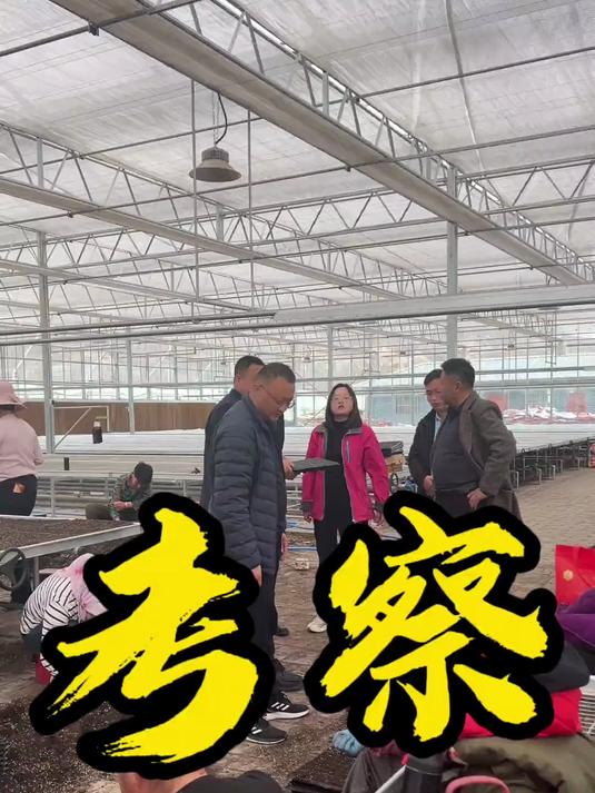 昨日，陕西省宝鸡市千阳县乡村振兴局局长带领乡镇干部