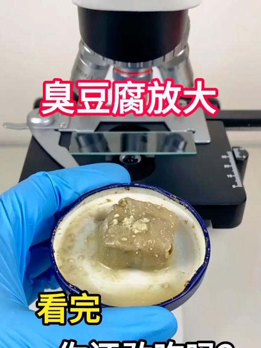 臭豆腐放大,看完你还喜欢吃吗?